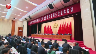 【纪检动态】中国共产党安徽省第十届纪律检查委员会第三次全体会议决议