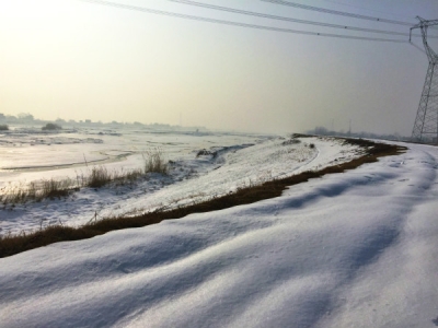 【镜头】 踏雪寻春