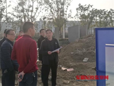 阜阳：组织开展重点开工项目监督检查工作