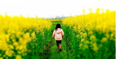 【镜头】人间四月芳菲尽