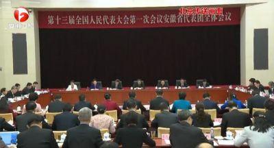 安徽代表团举行全体会议 审议监察法草案