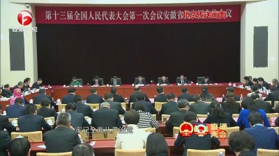 【纪检动态】用过硬作风担当时代使命——安徽代表团代表热议“三严三实”