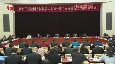 【纪检动态】李国英在审议监察法草案时指出 支持纪检监察机关履行职责 全面加强政府系统廉政建设