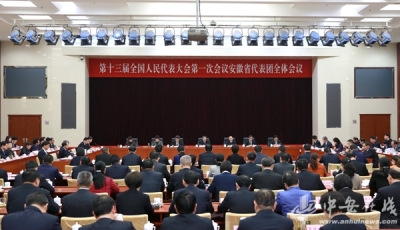 十三届全国人大一次会议安徽代表团在京成立 推选李锦斌为团长