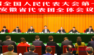 安徽代表团举行全体会议 王沪宁与代表们共同审议