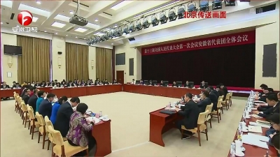【纪检动态】李锦斌在安徽代表团全体会议上强调 认真学习贯彻习近平总书记重要讲话精神 开创全面建设现代化五大发展美好安徽新局面