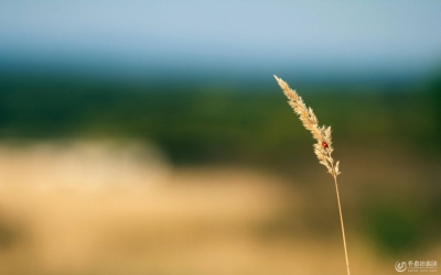【纪检人·书香】漫读《贞观政要》 渐以“严以修身”