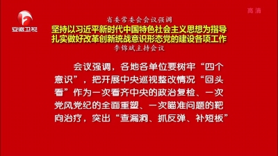 李锦斌：扎实做好改革创新党的建设等各项工作