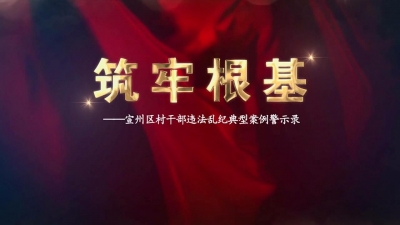 【廉政视点】《筑牢根基》—宣州区村干部违法乱纪典型案例警示录