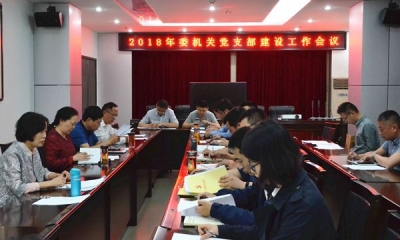 宿州：以机关党建为引擎提升纪检监察工作实效