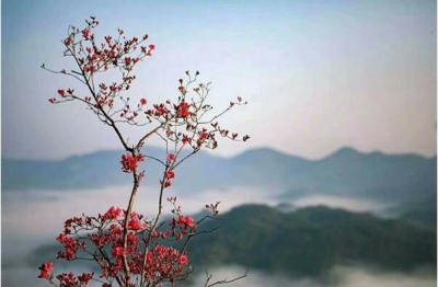 【镜头】青春在奋斗中吐露芳华
