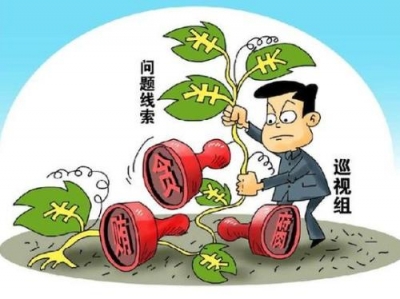 准确把握全面从严治党形势和阶段特征 首轮巡视精准发现了哪些突出问题