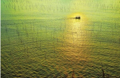 大江大河有“大治”