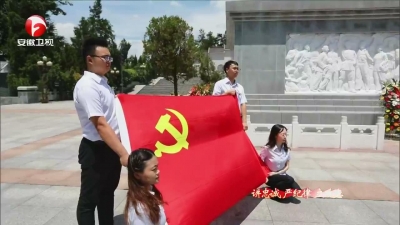 【讲忠诚 严纪律 立政德】各级党委（党组）深入学习贯彻《条例》 推深做实建章立制整改
