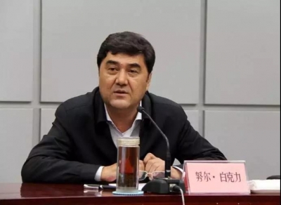 国家发展和改革委员会党组成员、副主任，国家能源局党组书记、局长努尔·白克力涉嫌严重违纪违法接受中央纪委国家监委纪律审查和监察调查