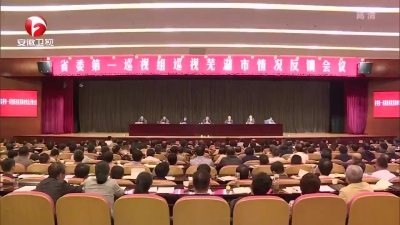 【纪检动态】坚决落实巡视整改政治责任 扎实推动全面从严治党向纵深发展