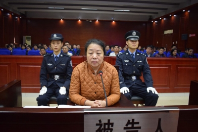 合肥巢湖经济开发区管委会原主任王爱华出庭受审