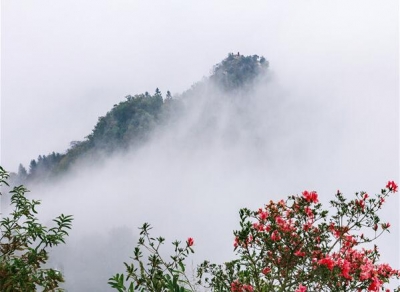 【镜头】树树皆秋色  山山唯落辉