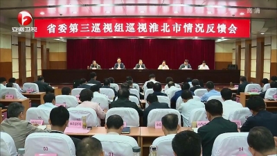 【纪检动态】刘惠：坚决履行“两个维护”政治责任 扎实做好巡视“后半篇文章”