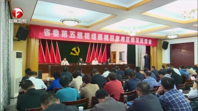 【廉政视点】十届省委第五轮巡视继续反馈巡视情况