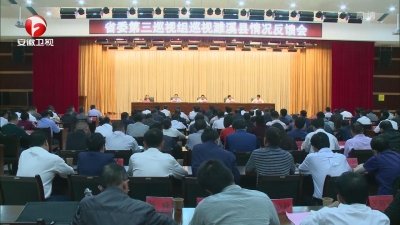 【廉政视点】十届省委第五轮巡视全面反馈巡视情况