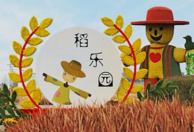 【镜头】春华赞秋实  稻香沁心脾
