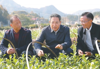 李锦斌深入太湖县调研革命老区脱贫攻坚工作