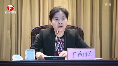 【纪检动态】丁向群：牢牢把握巡视工作的正确方向 推动全面从严治党向纵深发展