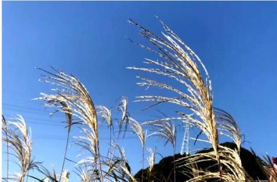 【镜头】秋色正浓时  立冬悄然至