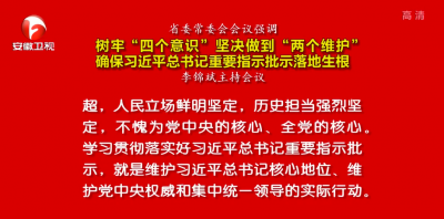 树牢“四个意识”坚决做到“两个维护”  确保习近平总书记重要指示批示落地生根