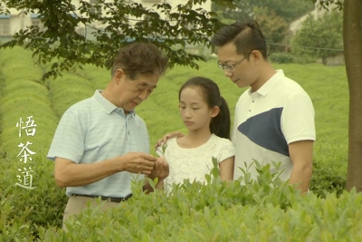 【公益广告】如茶人生 尽显清廉本色