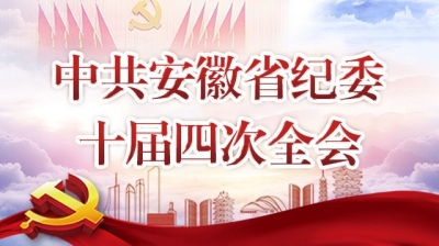 中共安徽省纪委十届四次全会