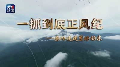 【视频】一抓到底正风纪