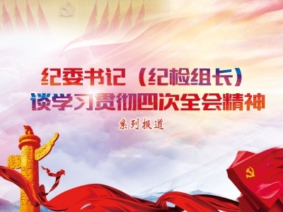坚守政治机关定位  做“两个维护”的忠实践行者、维护者——纪委书记（纪检组长）谈学习贯彻四次全会精神
