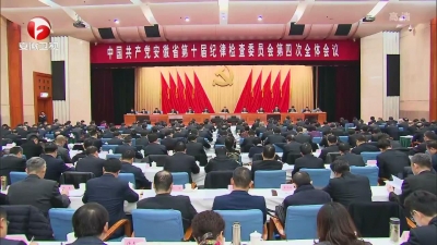 【纪检动态】李锦斌强调 学懂弄通做实习近平总书记中纪委三次全会重要讲话精神 以全面从严治党推动党中央各项决策部署在安徽落地生根