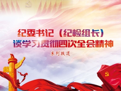 把握四个重点 整体推进纪检监察工作——纪委书记（纪检组长）谈学习贯彻四次全会精神