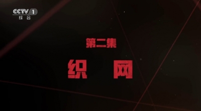 电视专题片《红色通缉》 第二集 《织网》
