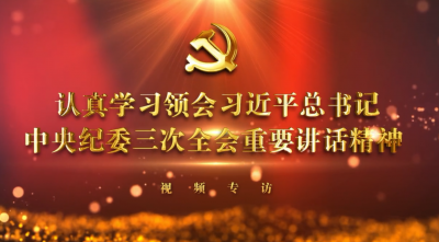 中央纪委国家监委网站视频专访|巩固发展压倒性胜利，怎么看怎么干？