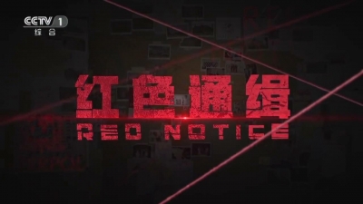 电视专题片《红色通缉》 第一集 《引领》