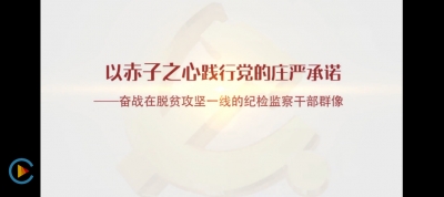 以赤子之心践行党的庄严承诺  ——奋战在脱贫攻坚一线的纪检监察干部群像