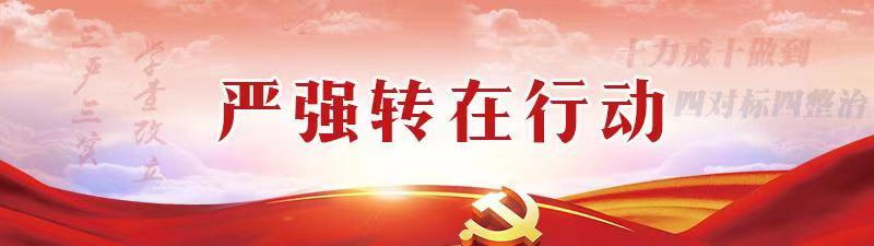 【“严强转”在行动】海螺集团：召开“严强转”集中整治形式主义官僚主义专项行动推进会