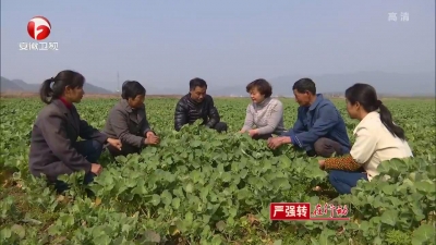 【视频】“严强转”在行动丨青阳：确立“无会日” 少些会场多些现场