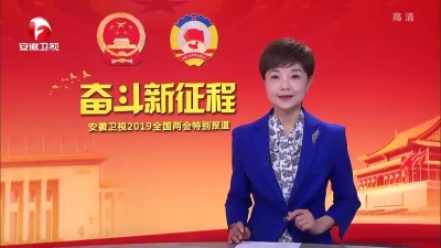 【廉政视点】以“三严三实”书写作风建设新答卷——安徽代表团代表热议“三严三实”