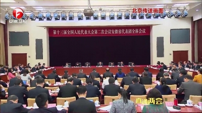 【纪检动态】李锦斌在十三届全国人大二次会议安徽代表团全体会议上强调 一以贯之坚持“三严三实” 按时按质打赢脱贫攻坚战