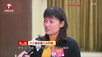 【廉政视点】一以贯之践行“三严三实” 不断锤炼严实作风——出席全国两会的安徽代表委员热议“三严三实”