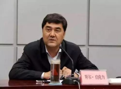 国家发展和改革委员会原党组成员、副主任，国家能源局原党组书记、局长努尔·白克力被开除党籍和公职