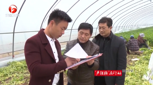 【视频】“严强转”在行动丨蚌埠：整治“文山会海” 为基层减负增效