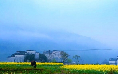 【镜头】谷雨：雨生百谷 花气渐香