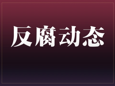 最高人民检察院依法对孟宏伟决定逮捕