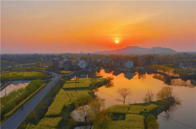【镜头】东风吹开花千树 一树繁花一树春 